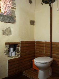 阿古伊梅斯Casa Emblemática La Pileta - Doramas的一间带卫生间和壁炉的浴室