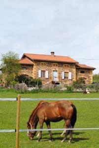 勒格尼Domaine de la Poyat的牧场上的马在房子前面放牧