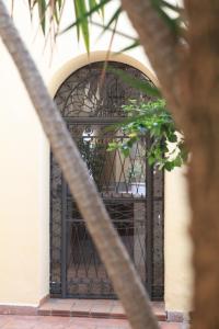 赫雷斯-德拉弗龙特拉巨人酒店的一座植有植物的建筑上的铁门