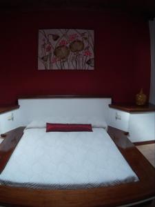 纳萨雷特Vivienda vacacional Finca Ribera De Cortes的一间卧室设有一张红色墙壁的大床