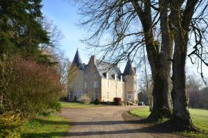 伊芙尔莱韦克Chateau de Vaux的一座古城堡,前面有树木