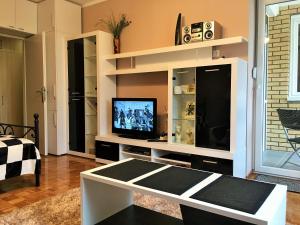 索科矿泉村Apartment Wali的娱乐中心设有带电视的客厅