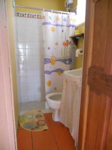 安东尼奥港Drapers San Guest House的一间带卫生间和淋浴帘的浴室