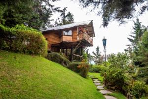 Los Naranjos洛斯纳兰霍斯度假屋的山丘上带阳台的树屋