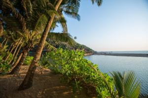 Cola果阿蓝色泻湖度假村的享有棕榈树海滩和大海的景色