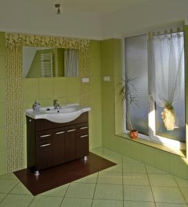 SominyAgroturystyka Sominy Piotr的一间带水槽和镜子的浴室以及窗户。