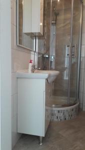 斯克拉丁Guesthouse Ivan的一间带水槽和淋浴的浴室