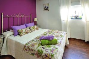 科尔多瓦De Patios的一间卧室配有一张紫色和紫色墙壁的床