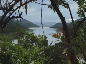 焦济尼Cycad Rock Fishing Lodge的透过树林欣赏湖泊美景