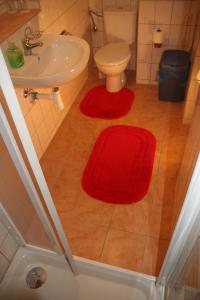 卡罗维发利彻伯斯奇杜弗尔伊格兰德霍夫酒店的一间带卫生间和水槽的浴室以及红色地毯。
