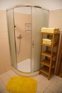 VlasenicePenzion U Rudolfů的一间设有黄色地毯的淋浴的浴室
