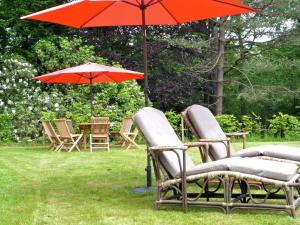 斯帕Villa in Spa with Sauna Recreation and Playroom的草上一组椅子和一把伞