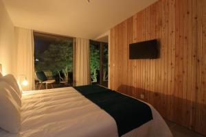富尔纳斯World's Nests Furnas Pods Village的一间卧室配有一张床,墙上配有电视