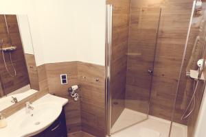 特赖斯-卡尔登加尼海斯酒店的带淋浴和盥洗盆的浴室