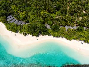 芭环礁Royal Island Resort at Baa Atoll Biosphere Reserve的享有碧绿海水海滩的空中景致