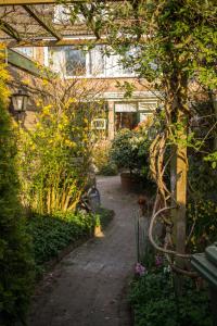 埃因霍温公园住宿加早餐旅馆外面的花园
