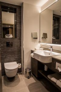 贝辛斯托克贝辛斯托克皇冠假日酒店的一间带水槽、卫生间和镜子的浴室