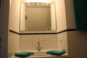 BehrensdorfReethus Stöfs的浴室水槽配有镜子和绿色毛巾