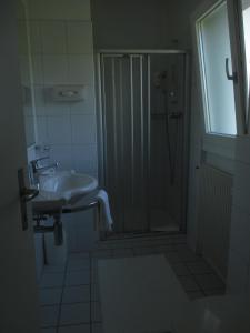 阿斯科纳阿卡迪亚酒店的带淋浴和盥洗盆的浴室