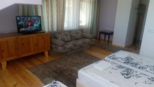 多布里尼什特Guest House Garbevi的带沙发和电视的客厅