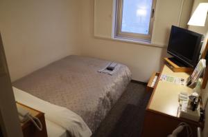 鹿儿岛鹿儿岛雷克斯登附楼酒店的一间小卧室,配有一张床和电视