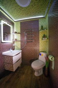 斯基希德尼萨Forest House exclusive的一间带卫生间和水槽的浴室