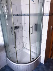 RotthalmünsterFerienwohnung Familie Ober的浴室里设有玻璃门淋浴