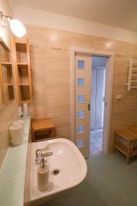 拉贝河畔乌斯季Apartman Labe的一间带水槽的浴室和一扇通往客房的门