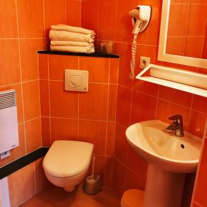 杜尔涅Logis Hotel Restaurant de la Montagne Noire的一间带卫生间和水槽的浴室