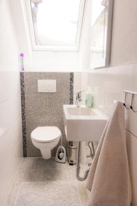 巴登-巴登Suite mit Blick auf die Lichtentaler Allee的一间带卫生间、水槽和窗户的浴室