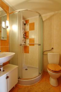 卢奇基Apartmán u Benkov的带淋浴、卫生间和盥洗盆的浴室