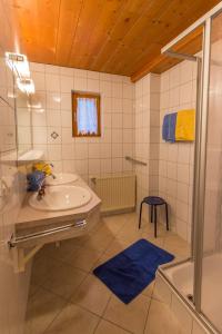 费尔兹姆斯Haus Berner的一间带水槽和淋浴的浴室