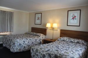 韦斯特菲尔德榆树汽车旅馆的酒店客房设有两张床和两盏灯。