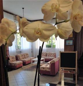 丽都迪萨维奥普利姆拉酒店的客厅在电视前装饰有白色的鲜花