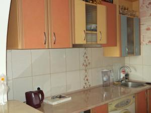Krāslava City Apartment的厨房或小厨房