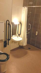 伯明翰威瑟斯本石南玫瑰酒店的浴室配有卫生间、盥洗盆和淋浴。
