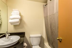 大瀑布城Motel 6-Great Falls, MT的一间带水槽、卫生间和淋浴的浴室