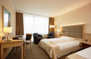 格赖瑙艾比塞酒店的配有一张床和一张书桌的酒店客房