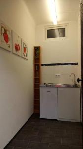 施泰尔Apartment im Zentrum Steyr, 2 Betten BESTROOMS eU的厨房配有水槽和台面