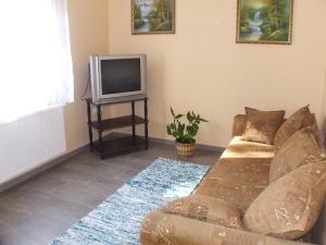 鲍洛通费尼韦什Pajtás Apartman的带沙发和电视的客厅