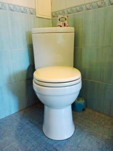 西尼亚克Sadiba "Lisova Pisnia"的浴室位于隔间内,设有白色卫生间。