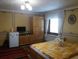 科普里夫什迪察巴什缇纳施特哈旅馆的一间卧室配有一张床、一台电视和一个窗口