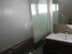 希农Domaine des Aubuis的浴室配有盥洗盆和带镜子的淋浴