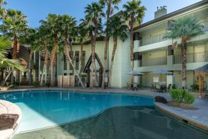 拉斯维加斯塔希提全套房度假酒店的棕榈树酒店前的游泳池