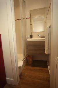Ambazac旅行者之家酒店餐厅的带淋浴、盥洗盆和镜子的浴室