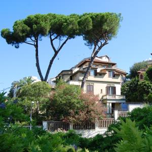 罗马塔索尼公寓别墅酒店的两棵树在房子前面