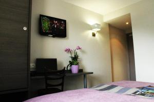 卢尔德德斯洛希尔斯酒店的一间卧室配有一张桌子和一台墙上的电视。