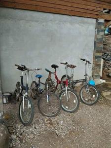 在班莱塞友度假村内部或周边骑自行车