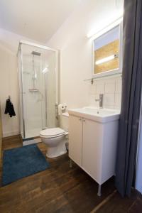 斯帕Au 49的浴室配有卫生间、盥洗盆和淋浴。