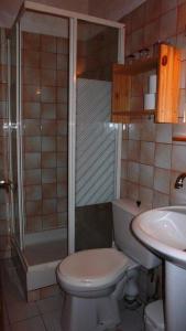 阿洛斯弗朗茨酒店的浴室配有卫生间、淋浴和盥洗盆。